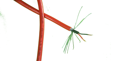 Orange Circular Cable